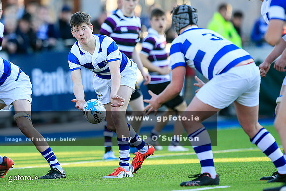 gpfoto.ie