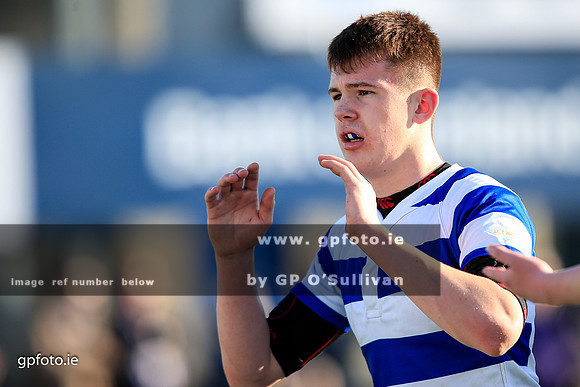 gpfoto.ie