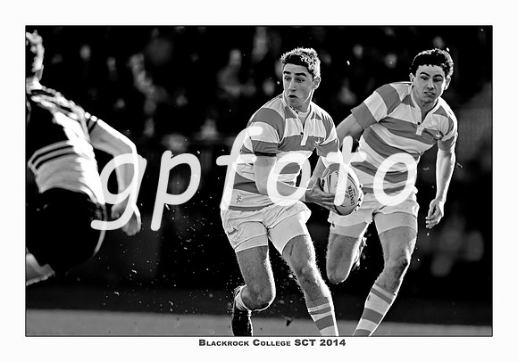 _P_36275 copy
