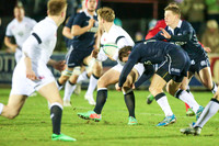 Scotland v England