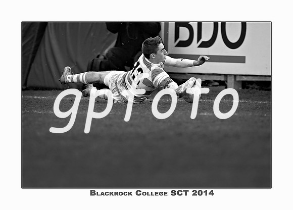 _P_37196 copy