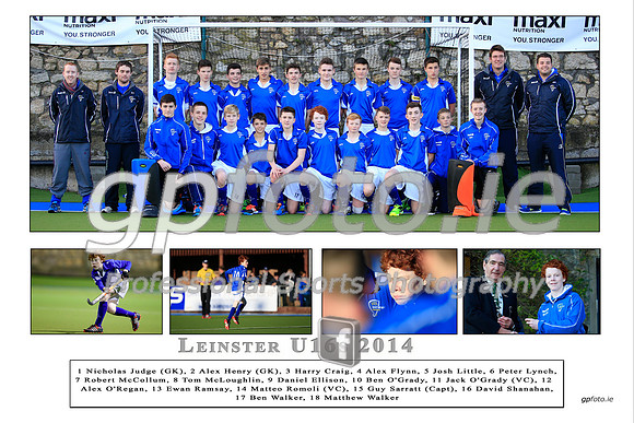 Personalised Leinster U16s  team collage