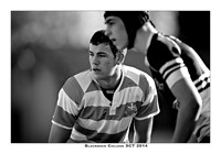 _P_36281