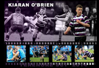 O'brian terenure