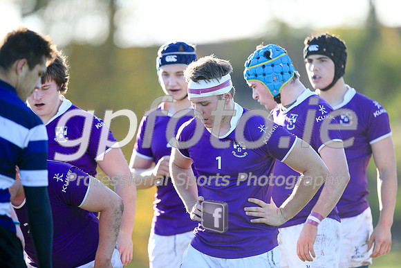 20141024-_P149790