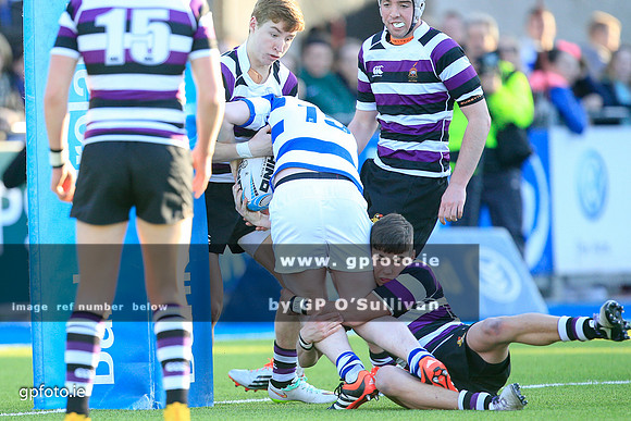 gpfoto.ie