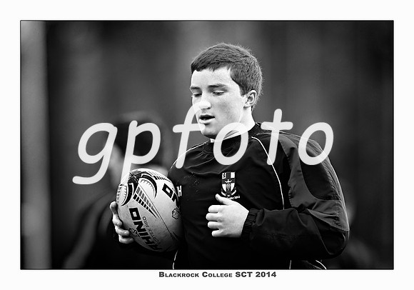_P_36212 copy