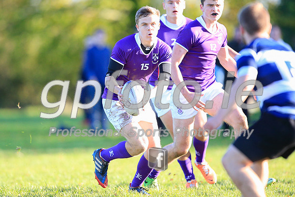 20141024-_P149933