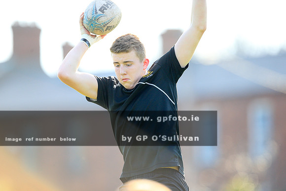 gpfoto.ie