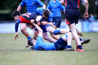 20150205-_P155068