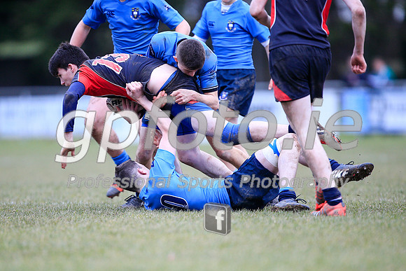 20150205-_P155068