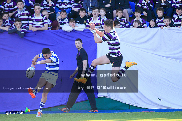 gpfoto.ie