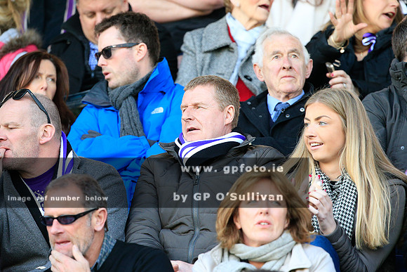 gpfoto.ie