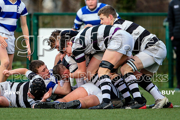 22-01-2022-SWYL1548