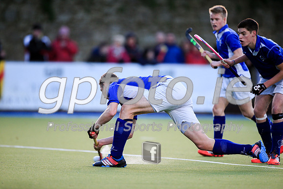20141123-_P141076