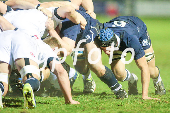 Scotland v England