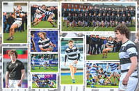 Collage 1