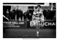_P_36842 copy