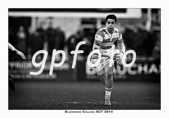 _P_36842 copy