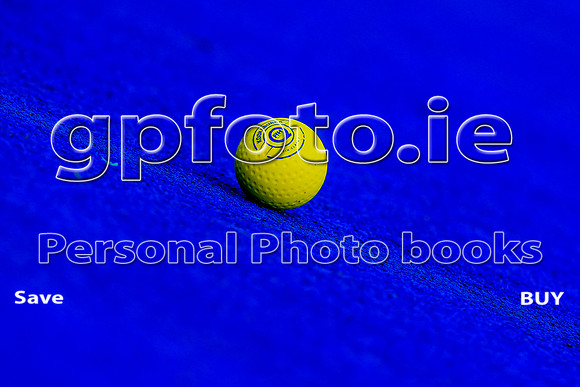 29-03-2024DGIL7839