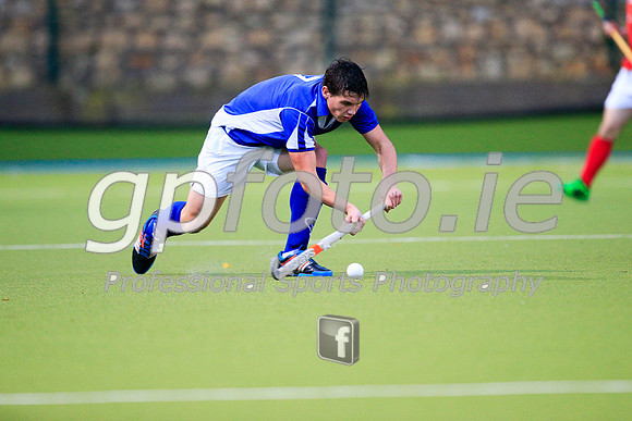 20141121-_P140245