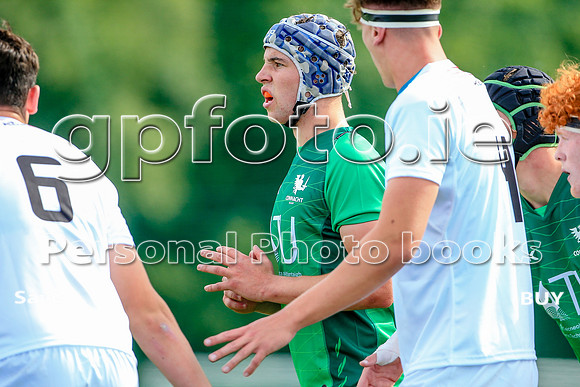 21-08-2022-SWYL8508.JPG
