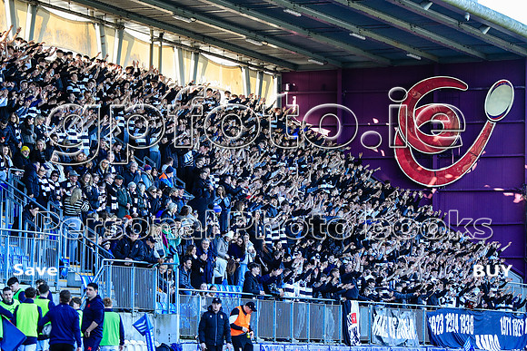31-01-2025-G-MK2A0290