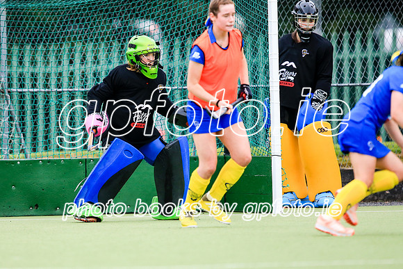 21-09-2019-CGJ27704.JPG
