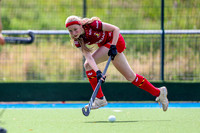 Belgium Vs Scotland
