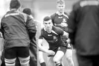 20150317-_P152336