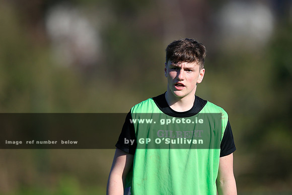 gpfoto.ie