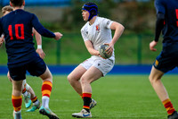 Pres. Bray v Temple Carraig SCT25