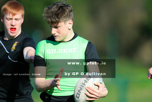 gpfoto.ie