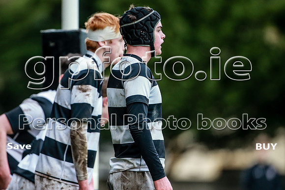 12-02-2022-CGJ22201.JPG