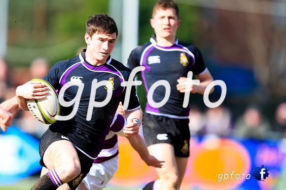 _MG_2608