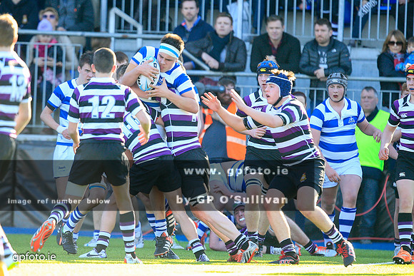 gpfoto.ie