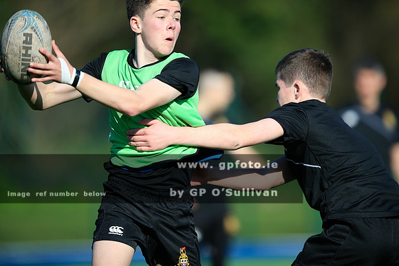 gpfoto.ie