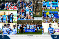 Layout (4)