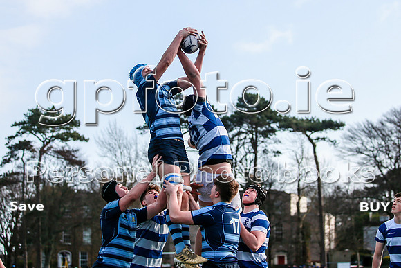 29-01-2022-CGJ23281