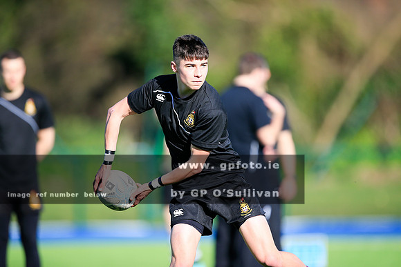 gpfoto.ie
