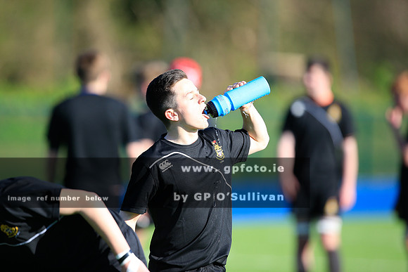 gpfoto.ie