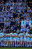 06-03-2025-C-MK2C8361