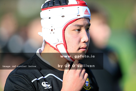 gpfoto.ie