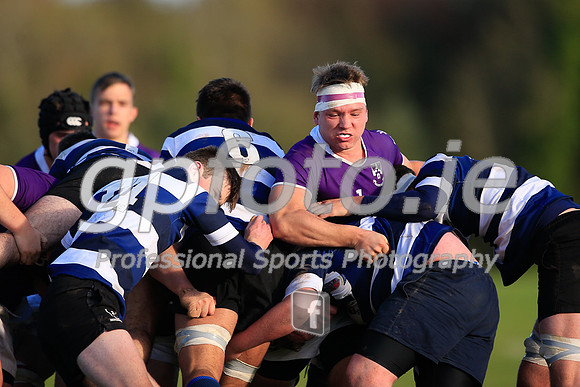 20141024-_P149899
