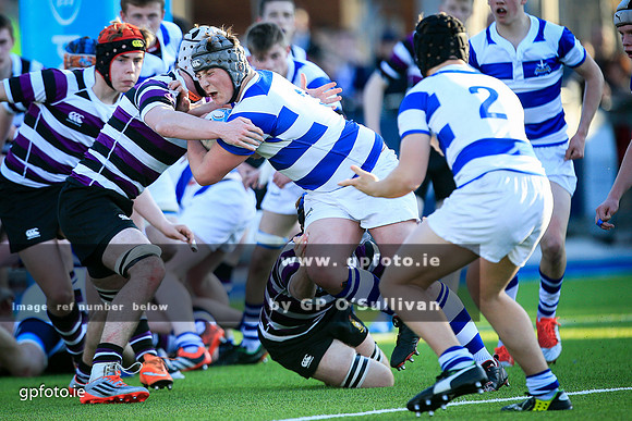 gpfoto.ie