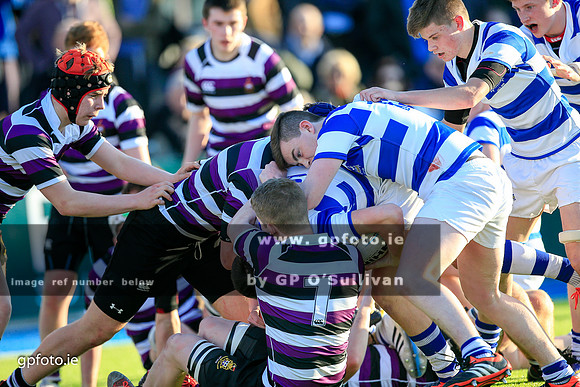 gpfoto.ie