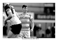 _P_36586 copy 2