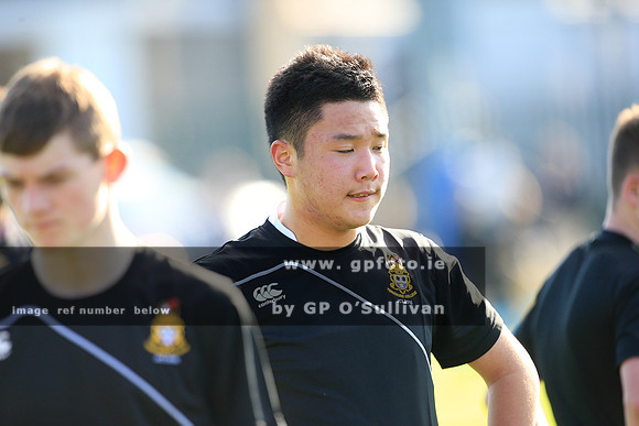 gpfoto.ie