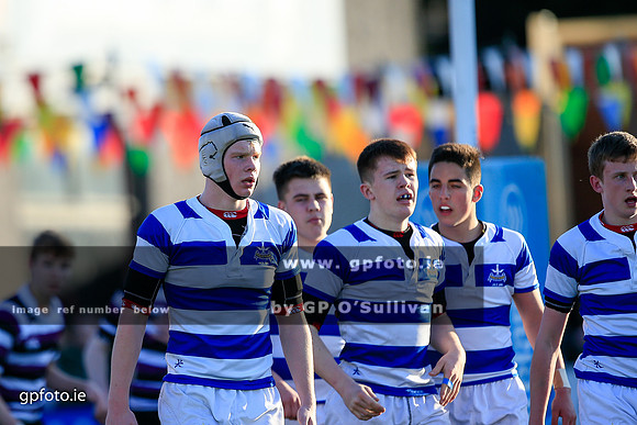 gpfoto.ie